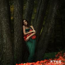 situs pembobol togel Apakah pohon buah ginseng dari Wuzhuangguan atau Longgong?
